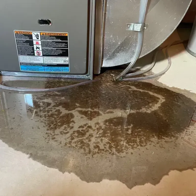 Appliance Leak Cleanup in Gillespie, IL